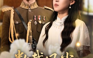 短剧《数载风尘识君来（62集）》免费短剧全本在线观