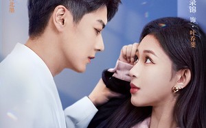 短剧《傅太太的马甲有一点多（94集）》短剧热播免费在线观看