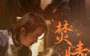 短剧《焚情（79集）》短剧全集高清在线赏