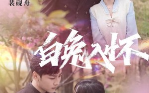 短剧《白兔入怀（60集）》高清短剧全集免费看