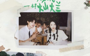 短剧《像烟花一样灿烂（60集）》精彩短剧在线畅快追