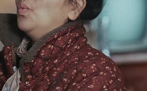 短剧《鸠占鹊巢（50集）》精彩短剧免费畅快观