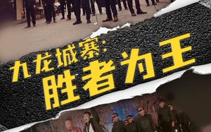 短剧《九龙城寨，胜者为王（64集）》高清短剧免费在线赏
