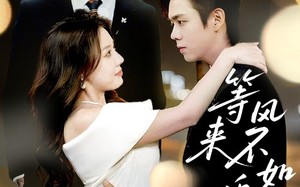 短剧《等风来不如追风去（72集）》精彩短剧全集免费览