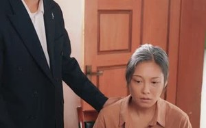 短剧《她从高山来（56集）》热门短剧完整版在线播