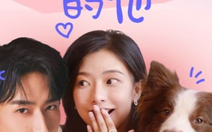 短剧《狗狗祟祟的他（52集）》爆款短剧在线无广告看