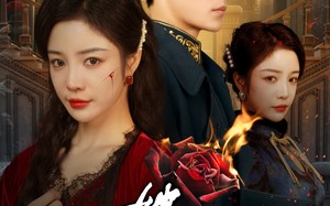 短剧《她时未知意（70集）》精彩短剧高清在线完整看