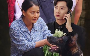 短剧《望子归来（50集）》免费短剧全集即点即看