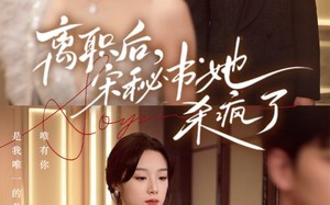 短剧《离职后，宋秘书她杀疯了（71集）》短剧完整版免费速看