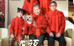 短剧《来福回家过年啦（34集）》短剧高清全集免费看