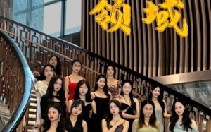 短剧《书圣领域（95集）》优质短剧全集免费在线赏