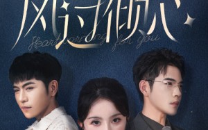 短剧《风过倾心（62集）》短剧免费全集畅快看