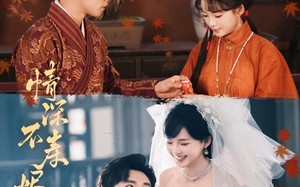 短剧《情深不寿烬相思（60集）》短剧免费全集在线赏