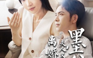短剧《墨爷夫人又提离婚了（110集）》热门短剧在线畅享
