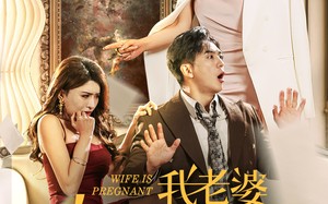 短剧《我老婆终于有喜了（40集）》短剧免费观看完整版