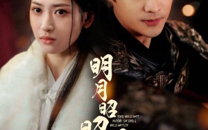 短剧《明月昭昭照念慈（62集）》短剧免费全集高清播