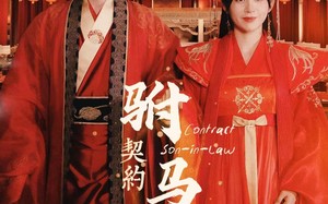 短剧《契约驸马爷（74集）》精彩短剧全集回看