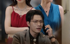 短剧《房不胜房（31集）》短剧全集高清在线播放