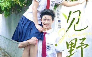 短剧《见野（79集）》超火短剧免费全集观看