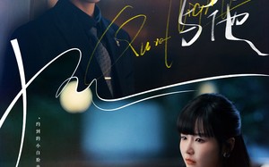 短剧《灯火阑珊与他（80集）》精彩短剧全集免费畅享