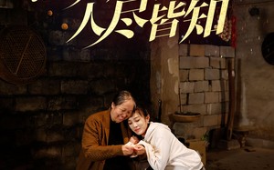 短剧《满城风雨人尽皆知（32集）》免费短剧全集一键观看