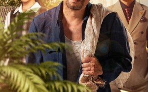 短剧《苦根（71集）》经典短剧在线免费畅看