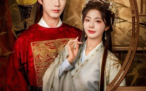 短剧《应是明月归（93集）》免费短剧全集线上享