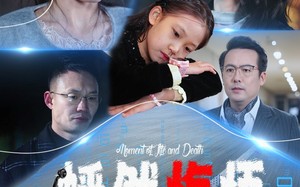 短剧《幡然悔悟（40集）》精彩短剧全集免费播