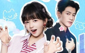 短剧《一夜成喜（60集）》爆款短剧免费抢先看