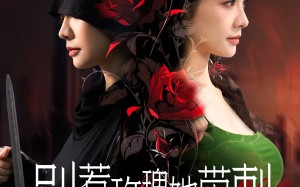 短剧《别惹玫瑰她带刺（100集）》短剧热播免费全集畅享