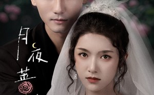 短剧《月夜蔷薇（72集）》热门短剧高清在线播放