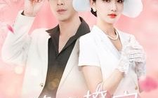 短剧《肆意撩宠（99集）》短剧全集畅享免费观看