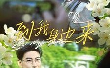 短剧《到我身边来（100集）》爆款短剧全集免费播