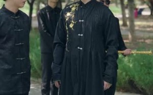 短剧《人中之凤（68集）》热门短剧全集免费观看