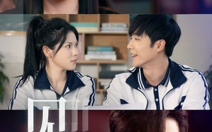 短剧《见软（91集）》超长短剧免费全集观