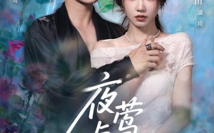 短剧《夜莺与玫瑰（66集）》精彩短剧完整版在线赏