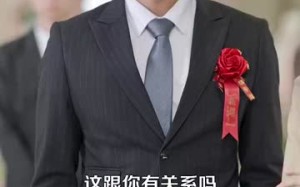 短剧《彩礼谈崩后继承万亿家产（100集）》高清短剧在线免费追