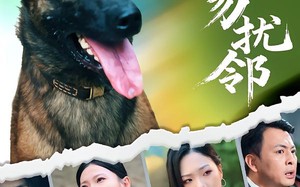 短剧《养狗勿扰邻（31集）》短剧全集高清免费看