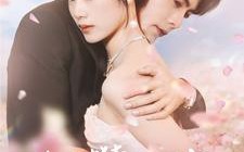 短剧《春日攀京枝（85集）》短剧全集高清免费播