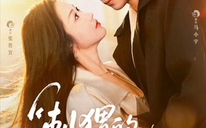 短剧《刺猬的拥抱（71集）》短剧高清全集免费看