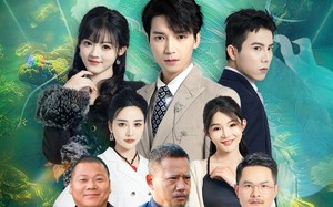 短剧《垂钓风云（35集）》短剧全剧免费在线品鉴