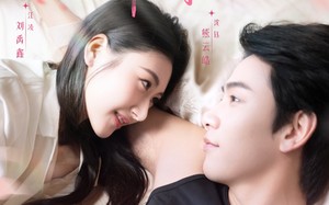 短剧《沈总，夫人又在闯祸了（79集）》超火短剧免费畅享全集