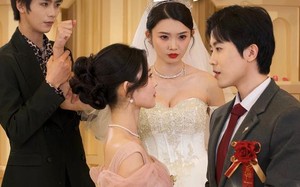 短剧《婚礼当天（30集）》热门短剧免费全集