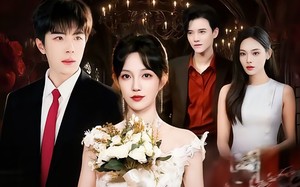 短剧《风月不相关（74集）》热门短剧免费在线赏