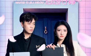 短剧《夫人她总想守寡（81集）》爆款短剧免费畅享观看