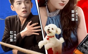 短剧《少夫人不好惹（61集）》超火短剧无删减在线播