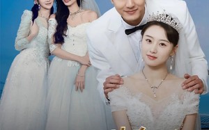 短剧《逆风归航（55集）》精彩短剧全集免费在线览