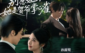 短剧《别惹她，她是贺爷掌心雀（69集）》爆款短剧全集免费观