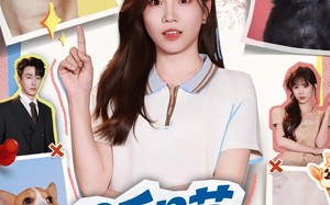 短剧《听喵一声劝（60集）》精彩短剧免费全集速看