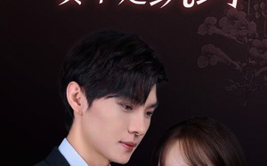 短剧《五宝联盟，爹地他真不是纨绔（82集）》短剧完整版免费在线追